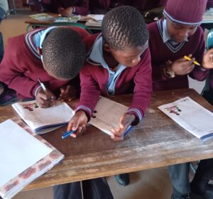 LEARN Project
